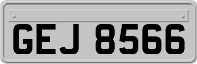 GEJ8566