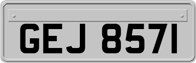 GEJ8571
