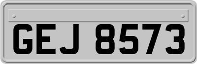 GEJ8573