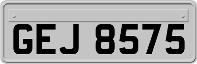 GEJ8575