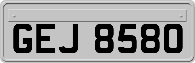 GEJ8580