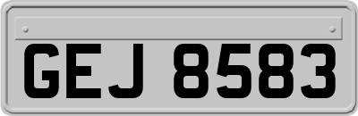 GEJ8583