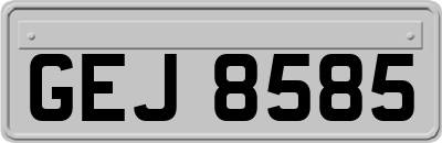 GEJ8585