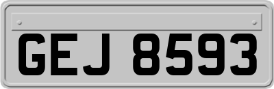 GEJ8593