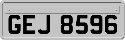 GEJ8596