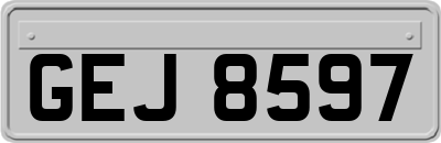 GEJ8597