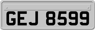 GEJ8599