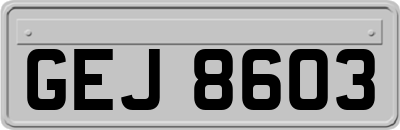 GEJ8603