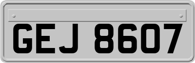 GEJ8607