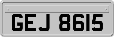 GEJ8615