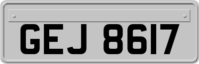 GEJ8617