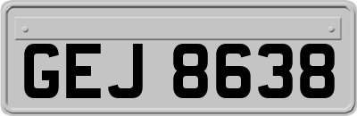GEJ8638
