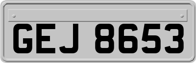 GEJ8653