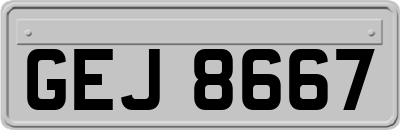GEJ8667