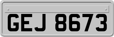 GEJ8673