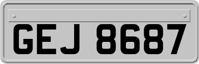 GEJ8687