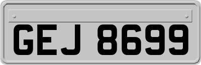 GEJ8699