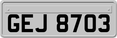 GEJ8703