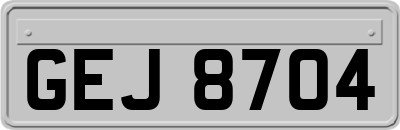 GEJ8704