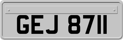 GEJ8711