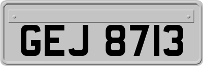 GEJ8713