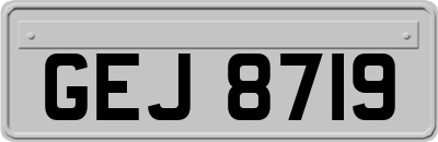 GEJ8719