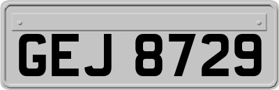 GEJ8729
