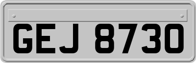 GEJ8730