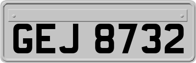 GEJ8732