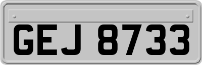 GEJ8733