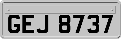 GEJ8737