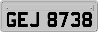 GEJ8738