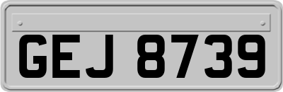 GEJ8739