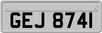 GEJ8741