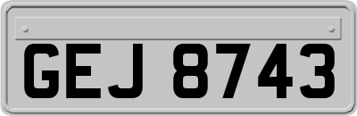 GEJ8743