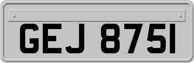 GEJ8751
