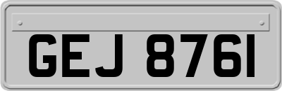 GEJ8761