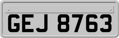 GEJ8763