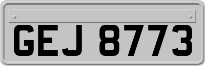 GEJ8773