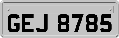 GEJ8785