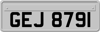 GEJ8791