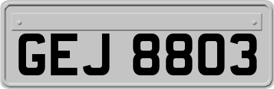 GEJ8803