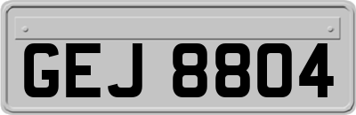 GEJ8804