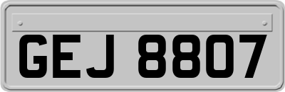 GEJ8807