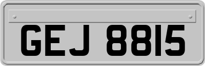 GEJ8815