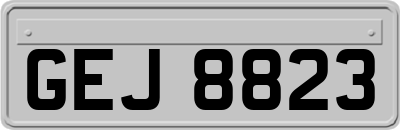 GEJ8823