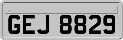 GEJ8829