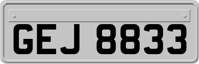 GEJ8833