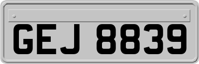 GEJ8839