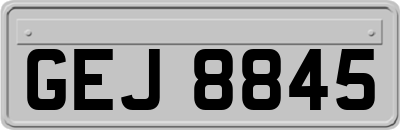 GEJ8845